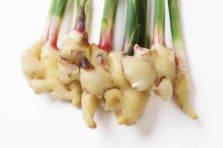 Leaf gingerの写真素材