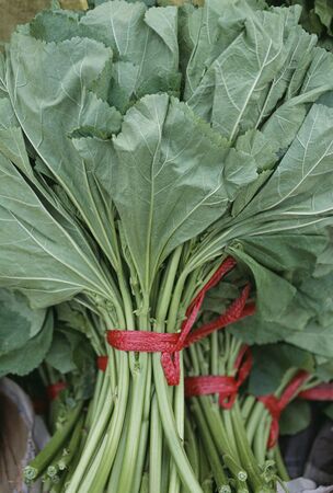 Vegetables