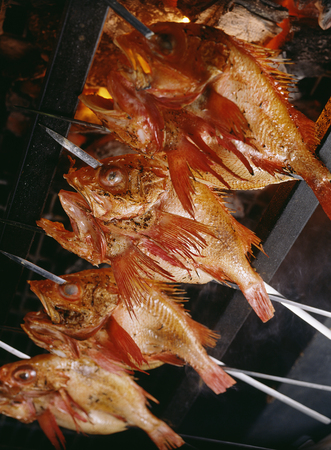 Grilled fish