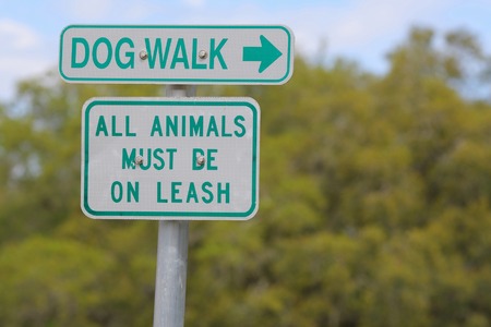 Road signの写真素材