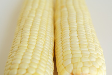 Cornの写真素材