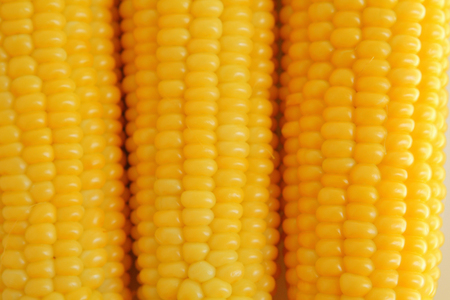 Corn