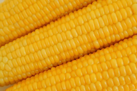 Corn