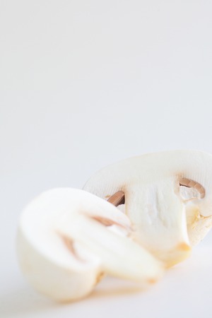 Mushroomの写真素材