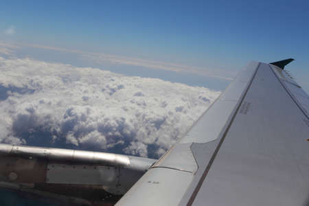 Wings and sky