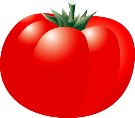 Tomatoの写真素材