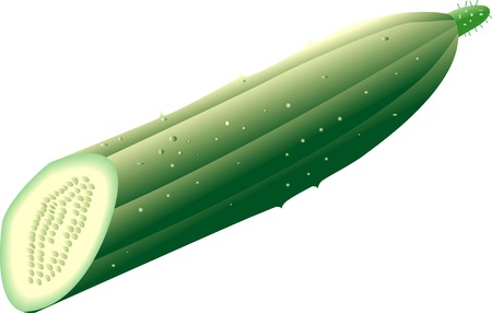 Cucumberの写真素材