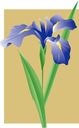 Irisの写真素材