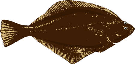 Magareiの写真素材