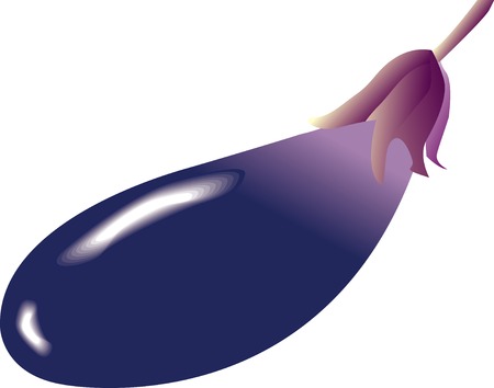 Eggplantの写真素材