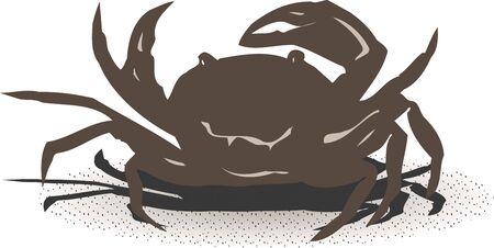 River crabの写真素材