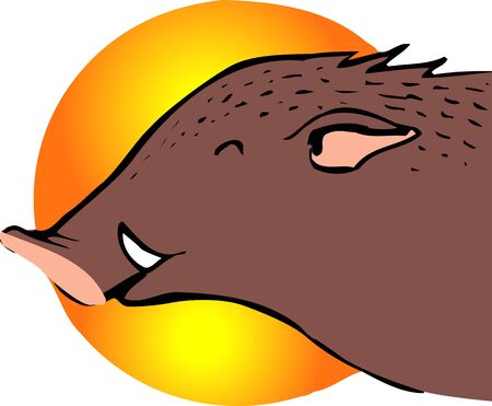 Wild boarの写真素材