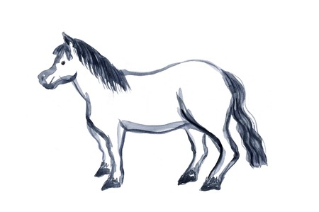 Horseの写真素材