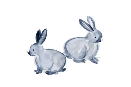 Rabbitの写真素材