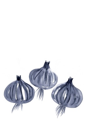 Onionの写真素材