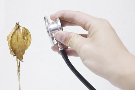 Plant health care imagesの写真素材