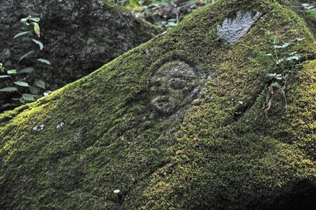 Tono-Five Hundredの写真素材