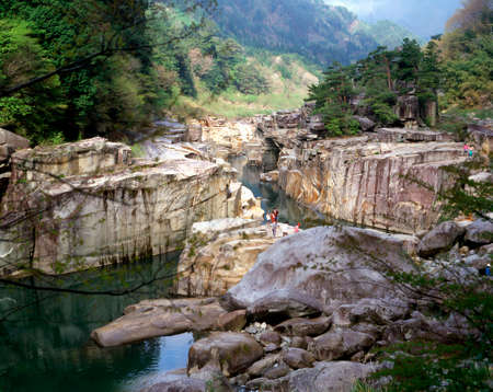 Floor of Kiso-NeSatoshiの写真素材