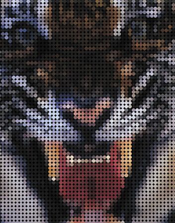 Tiger face patternの写真素材