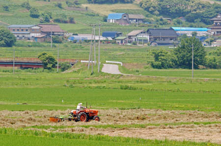 Tonobonchiの写真素材