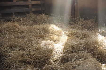 Straw hutの写真素材