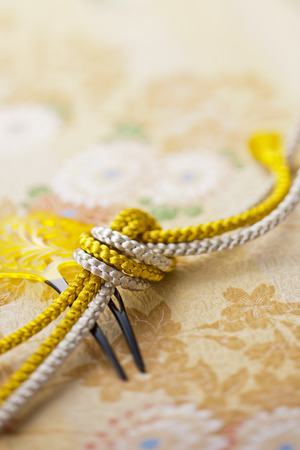 Strap and hairpin imageの写真素材