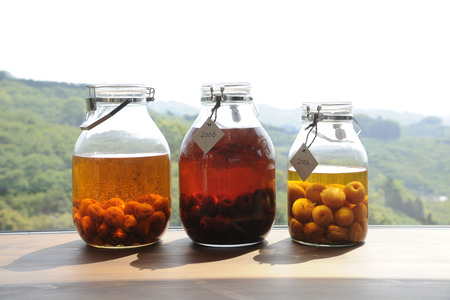 Plum wine of the south high plum