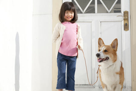 Welsh Corgi Pembroke and girls to go out for a walkの写真素材