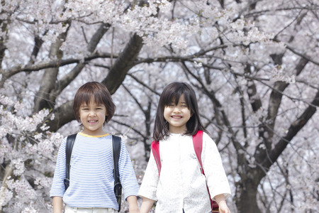 Elementary school students walking hand in handの写真素材