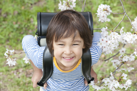 Boy look up at the top from the bottom of the cherry treeの写真素材