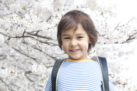 Smiling under the cherry boysの写真素材