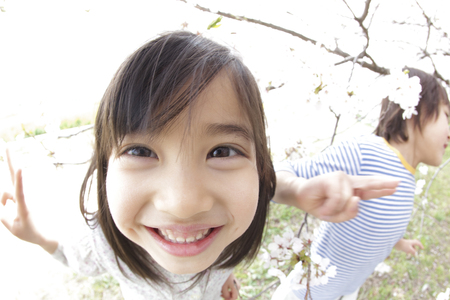 Children to smile under the cherry treeの写真素材