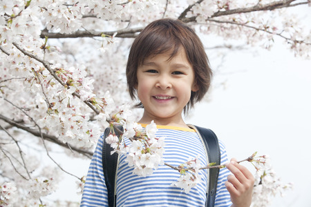 Boy smiling with a branch of cherry blossomsの写真素材