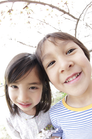 Children to smile under the cherry treeの写真素材