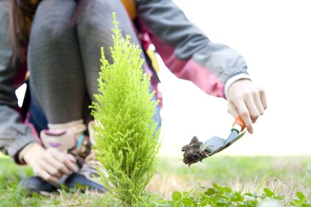 Hand of woman to be plantedの写真素材