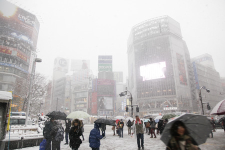 It's snowing Shibuya scramble crossingのeditorial素材