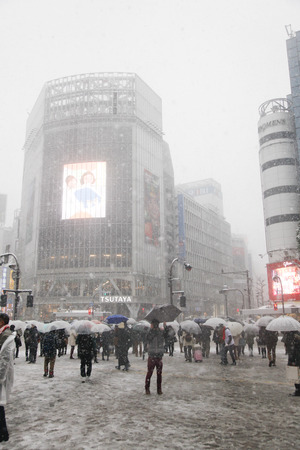It's snowing Shibuya scramble crossingのeditorial素材