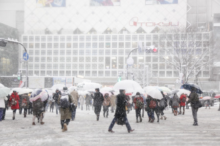 It's snowing Shibuya scramble crossingのeditorial素材