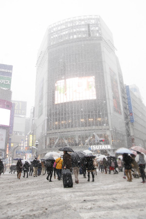 It's snowing Shibuya scramble crossingのeditorial素材