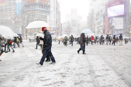 It's snowing Shibuya scramble crossingのeditorial素材