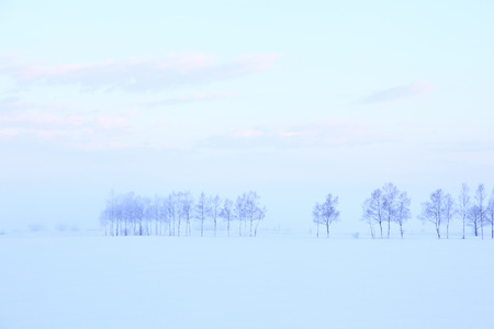 Morning snowの写真素材