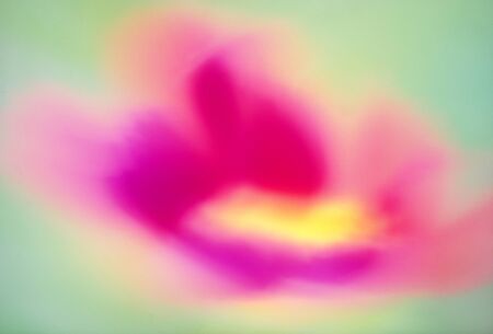 Flower imageの写真素材