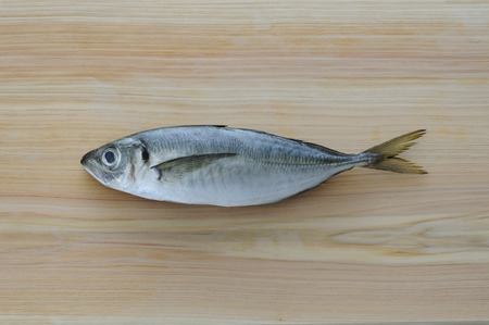 Mackerel on the chopping block
