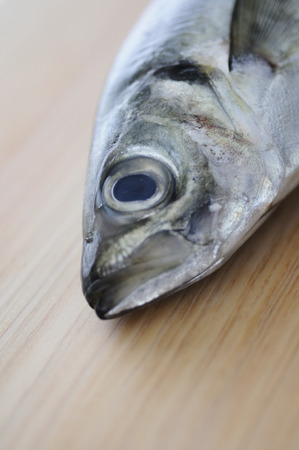 Mackerel on the chopping blockの写真素材