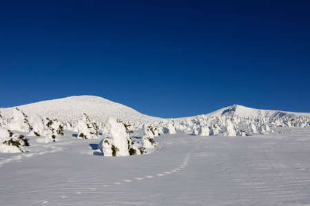 Rime ice