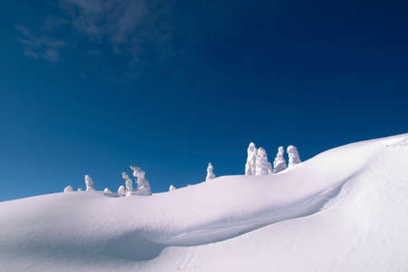 Rime ice