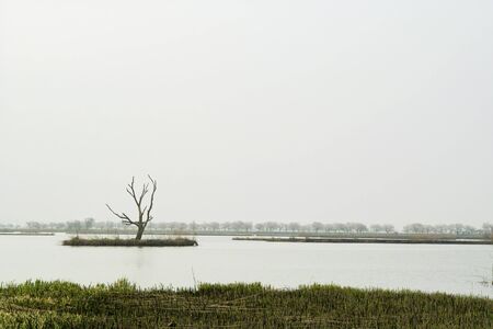 Fukushimagata, Niigata Prefecture