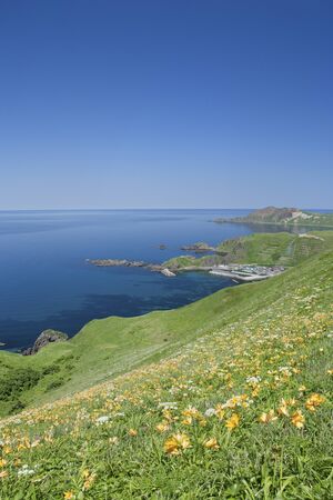 Nishidomari near mountain trailの写真素材