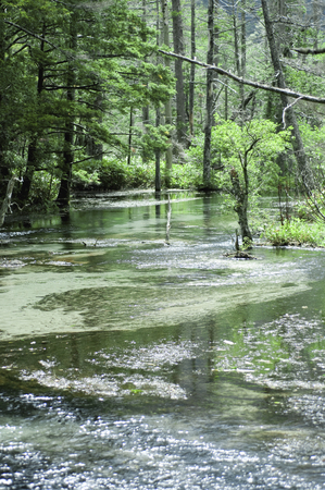 On the high-altitude streamの写真素材