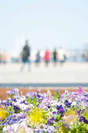 Beyond the people of flower bedsの写真素材